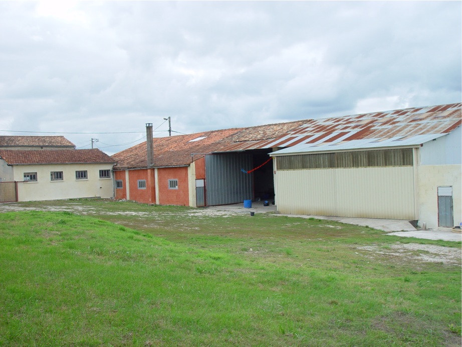 DSC06944